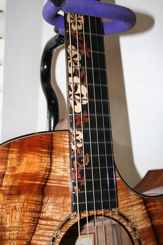 Show us the most beautiful Taylor rosettes and inlays from the past 30